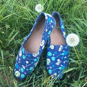 Dandelion Toms